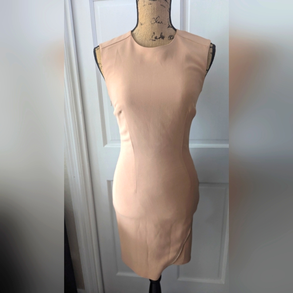 Elisabetta Franchi, Dress Well or office dress